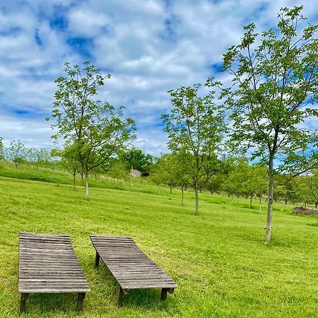 Viztuekoer Apartman Tihany